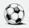 fotbal